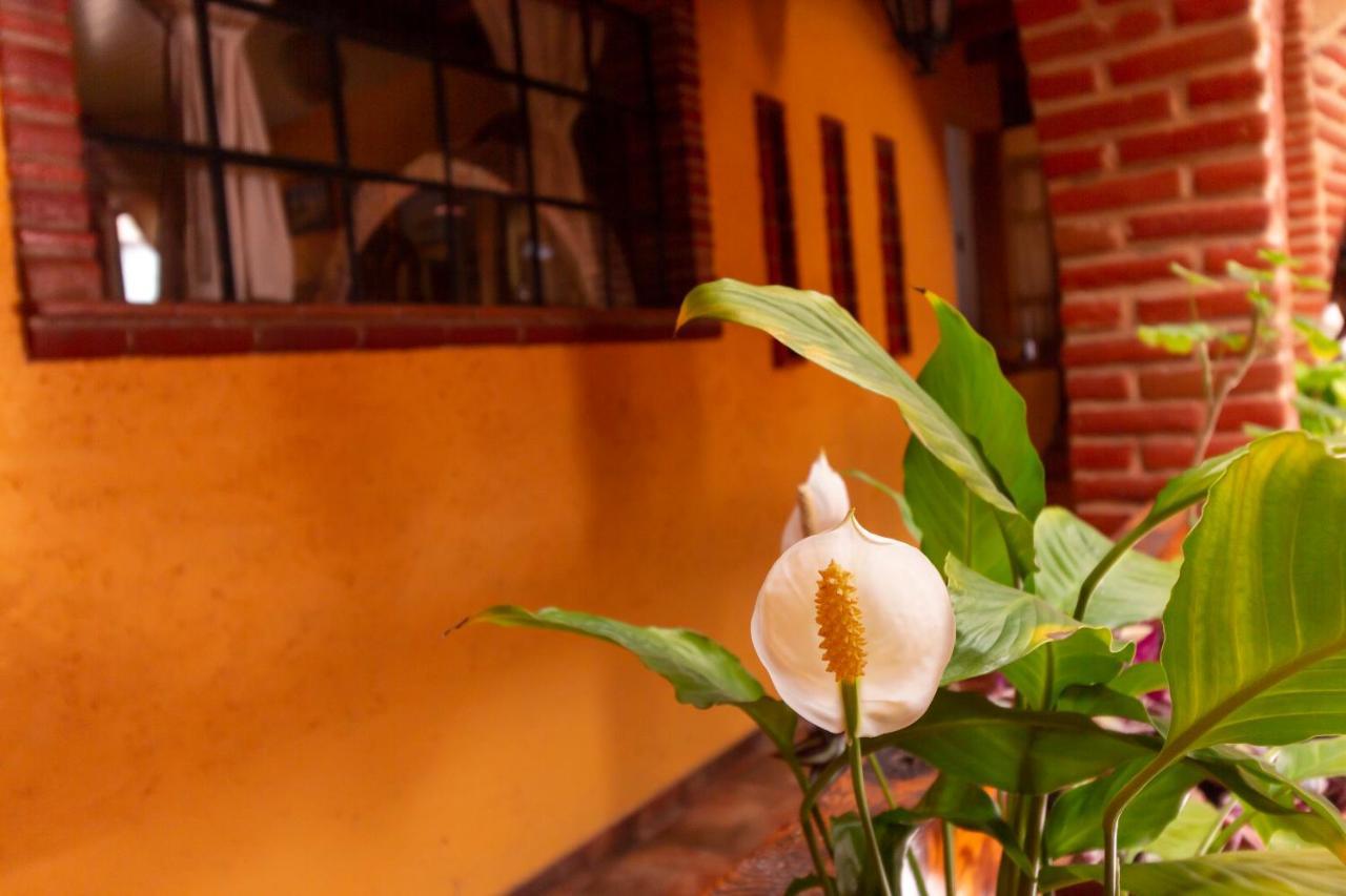 Mex Suites Casa Azúl B&B México DF Exterior foto