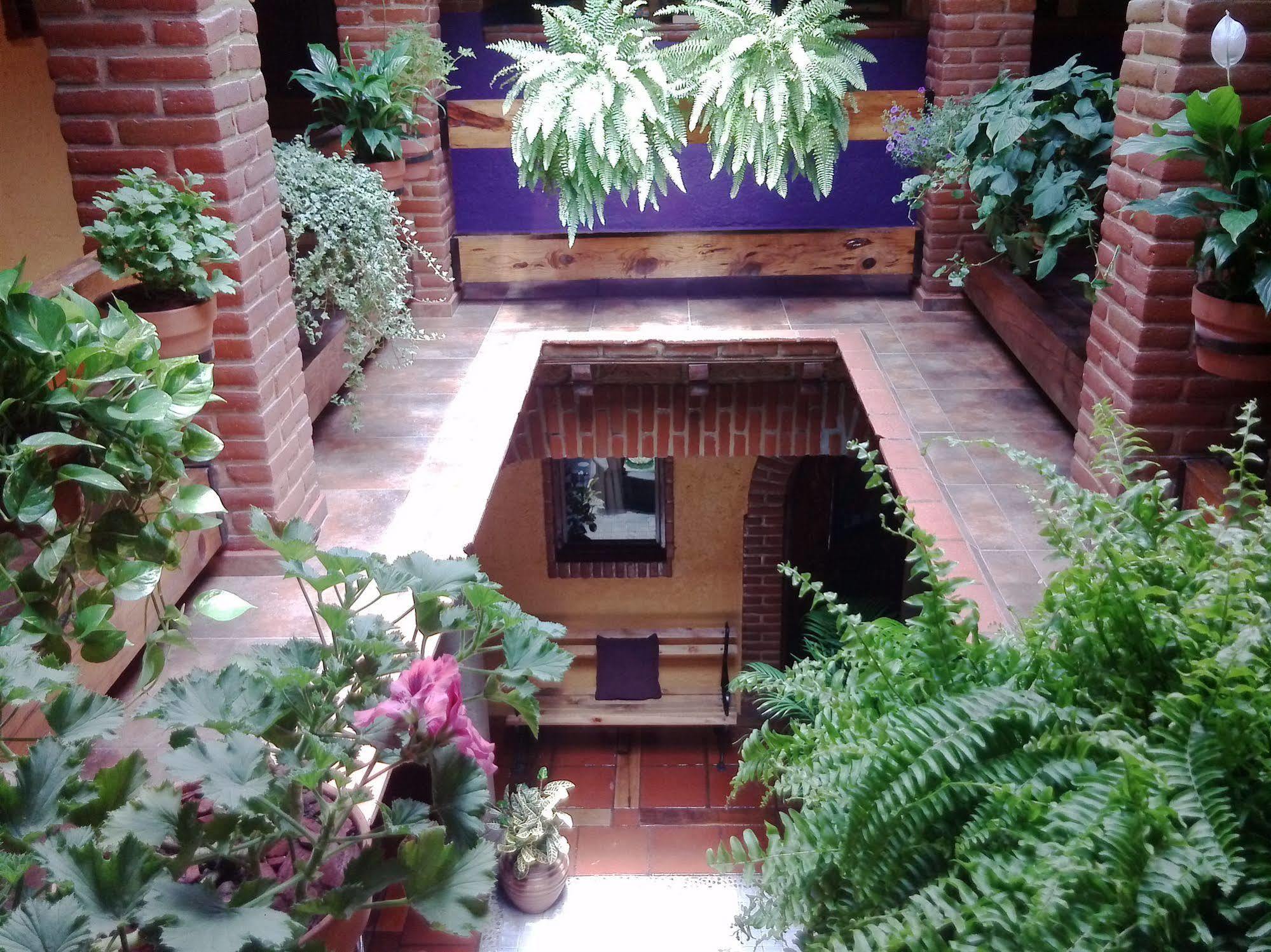 Mex Suites Casa Azúl B&B México DF Exterior foto