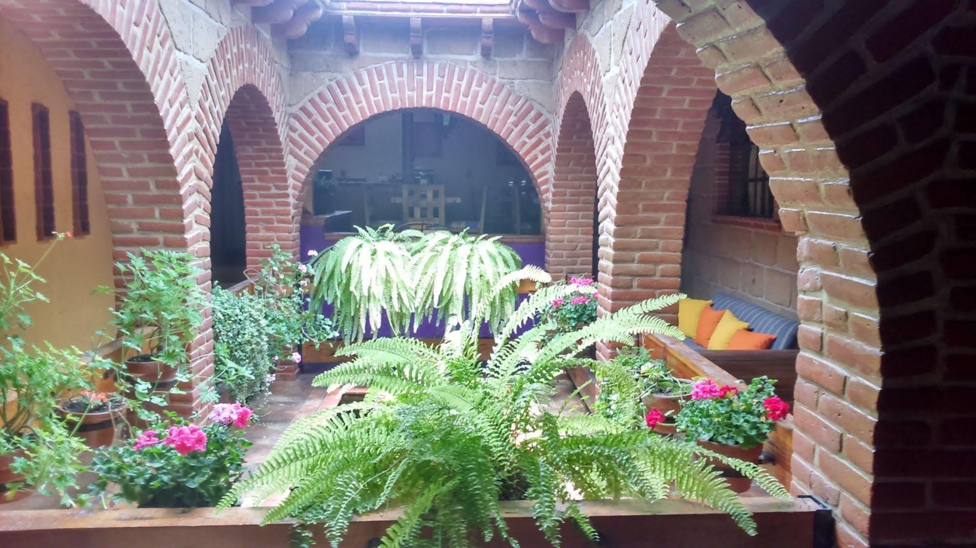 Mex Suites Casa Azúl B&B México DF Exterior foto